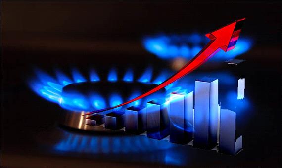 مصرف گاز در بخش خانگی به 660 میلیون مترمکعب رسید/ هموطنان برای مدیریت مصرف گاز یاری کنند