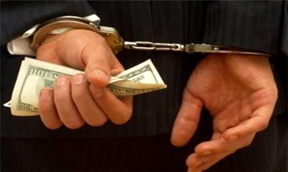 دستگیری 66 اخلالگر ارزی در کشور