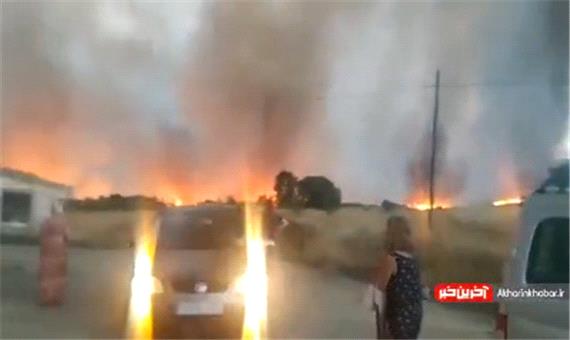 تصاویری از تداوم آتش سوزی در مزارع گندم اسپانیا