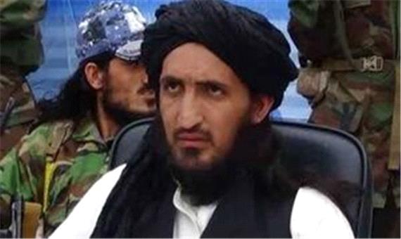 رسانه‌های پاکستانی از کشته شدن سرکردگان طالبان پاکستان خبر دادند
