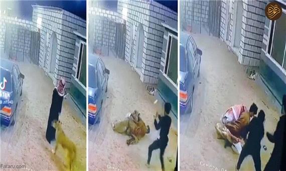 حمله هولناک شیر به دو عرب