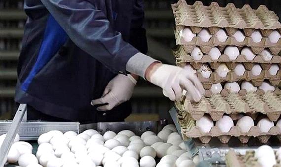 جدیدترین قیمت هر کیلو تخم مرغ در بازار