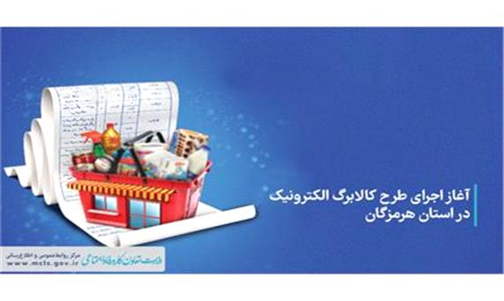 مدیرعامل شرکت خدمات فناوری اطلاعات رفاه ایرانیان: مردم می‌توانند کالاهای اساسی را با اعتبار یارانه یک ماه زودتر خریداری کنند