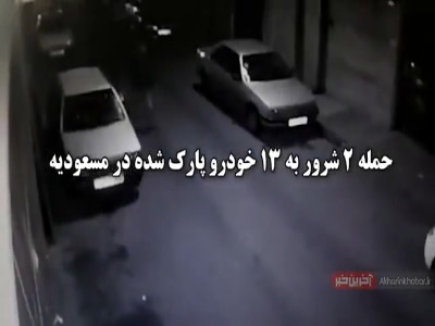 فیلم لحظه حمله دو شرور قمه به دست به ۱۳ خودرو