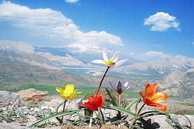کاهش ۵ درجه‌ای دما در  شمال کشور