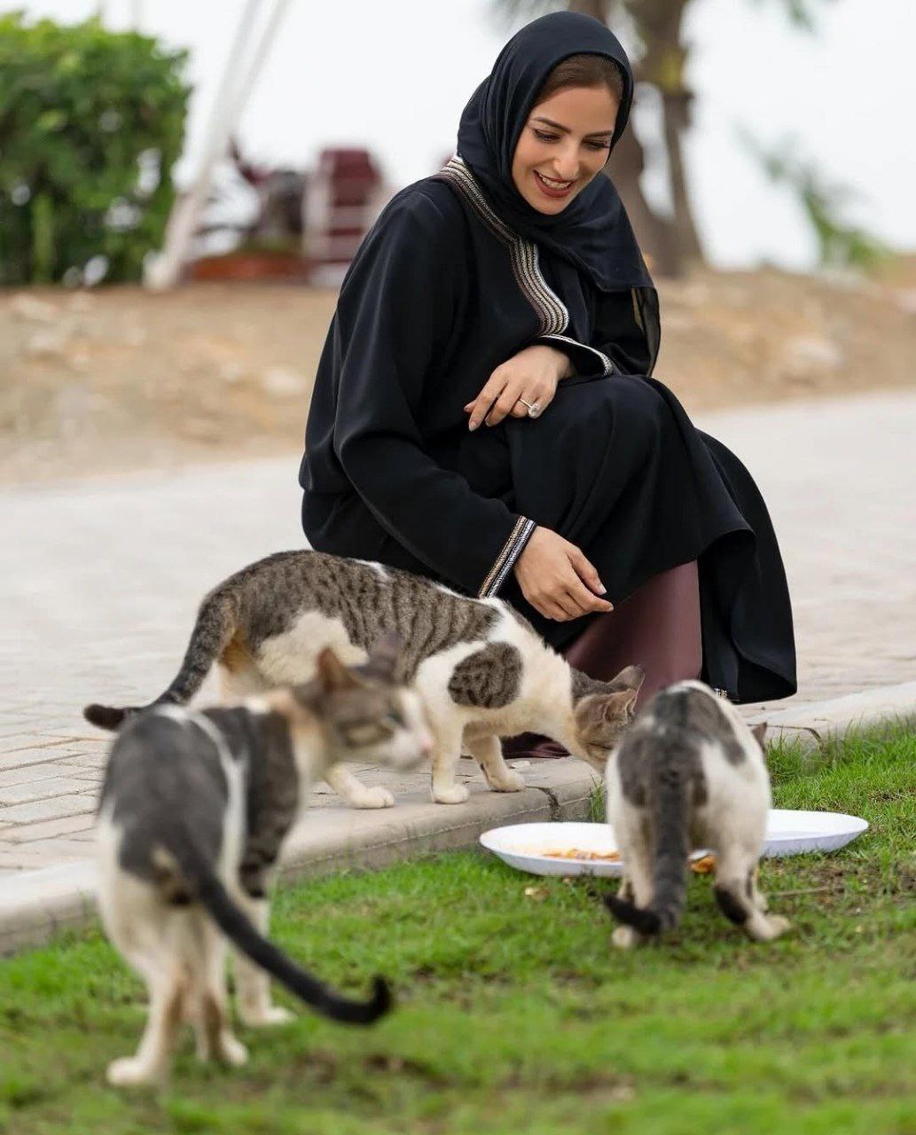 پیام ویژه
