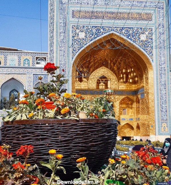 گل آرایی ضریح مطهر رضوی به مناسبت میلاد پیامبر و امام جعفر صادق