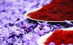 طلای سرخ ایران در چنگال قاچاقچیان؛ زعفران ایرانی به نام افغانستان فروخته می‌شود