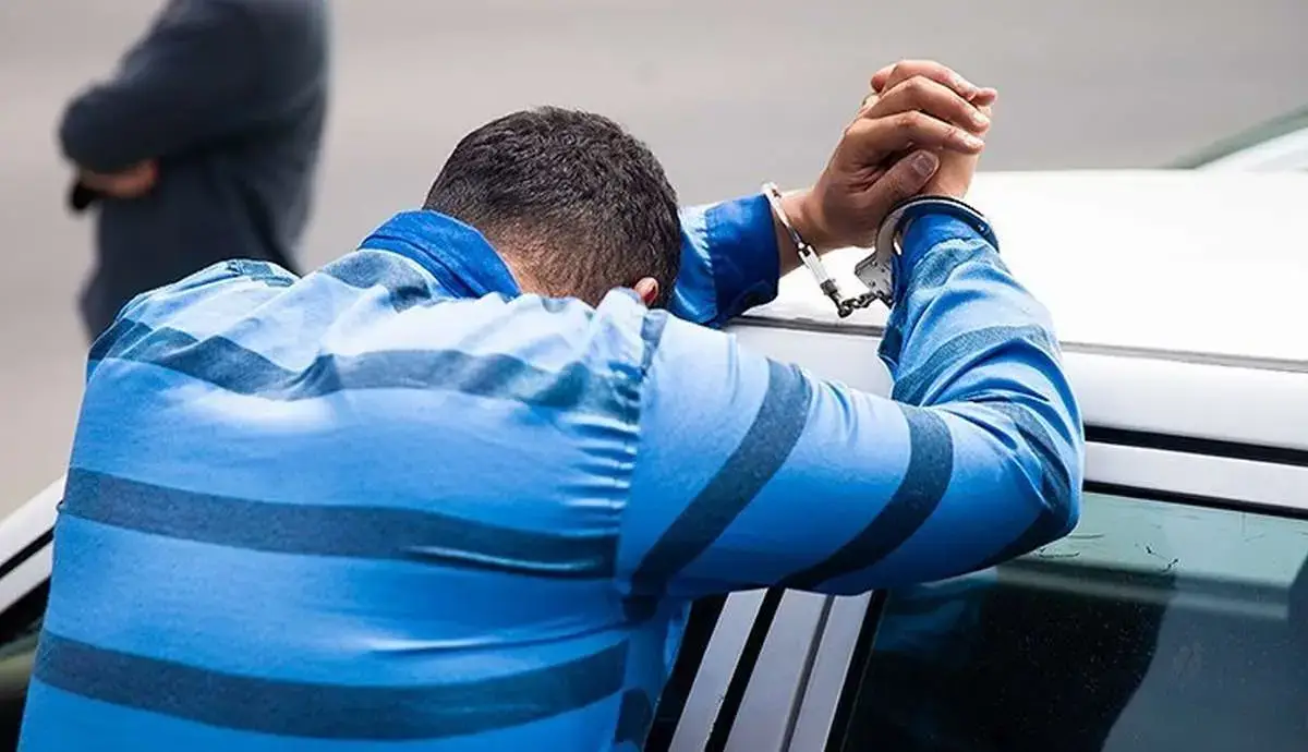 کارآگاه‌بازی زن کنجکاو سارق سریالی را به دام انداخت