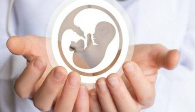 از هر ۶ زوج ایرانی، یک زوج نابارور است