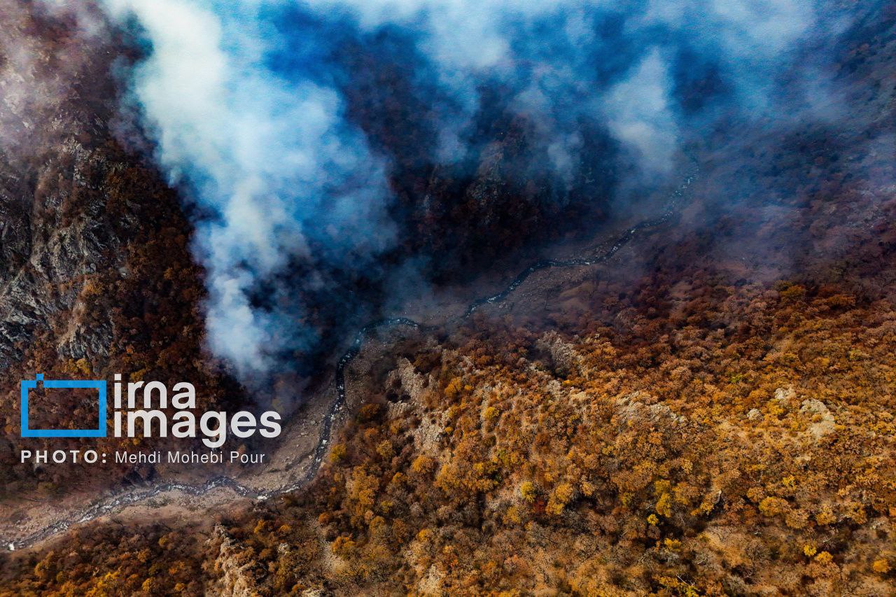 تصاویری دیگر از عملیات اطفای حریق جنگل‌های الیت