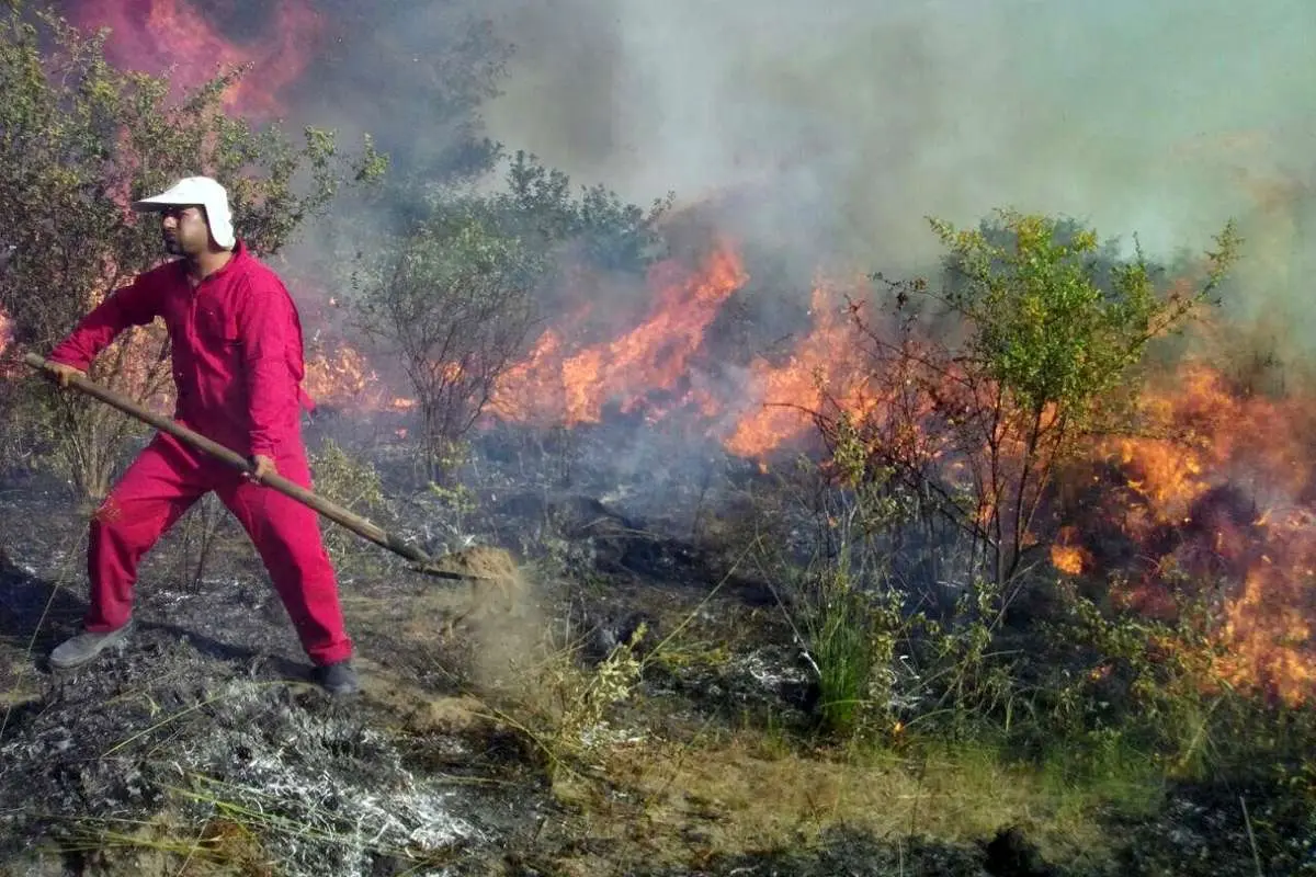 تصاویری از اطفای حریق جنگل‌های دیزمار در آذربایجان شرقی