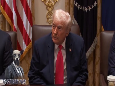 ترامپ با ایلان ماسک آشتی کرده است؟