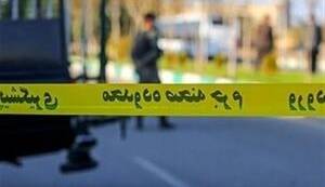 کشف جسد زن گم‌شده؛ انگیزه راننده مینی‌بوس برای قتل چه بود؟