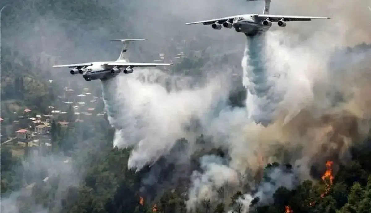 واکنش محیط زیست به گزارش مجلس درباره آتش‌سوزی جنگل‌های الیت