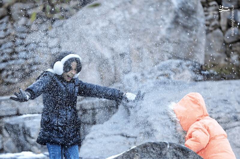 گنجنامه برفی