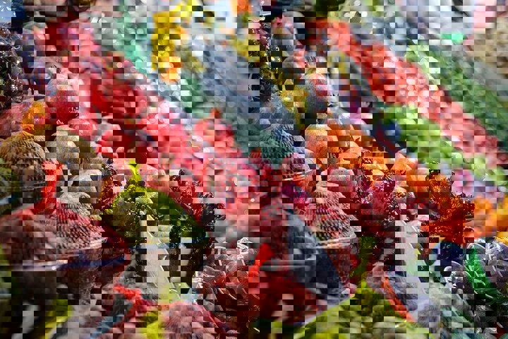 یلدا در راه، گرانی در کمین