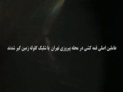 سرکرده اراذل محله پیروزی تهران زمینگیر شد