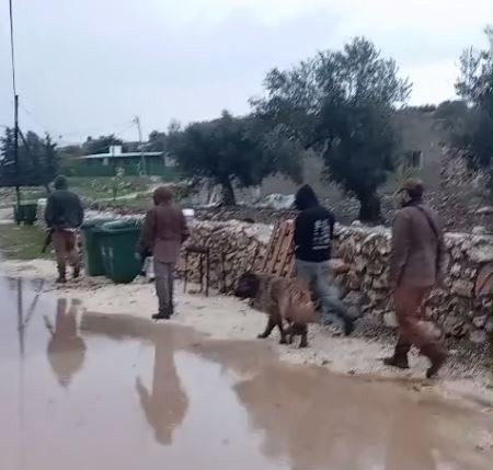 عربده کشی شهرک‌نشینان صهیونیست میان منازل فلسطینیان