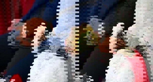 نرخ ازدواج در کشور ۴۸ درصد کاهش یافت