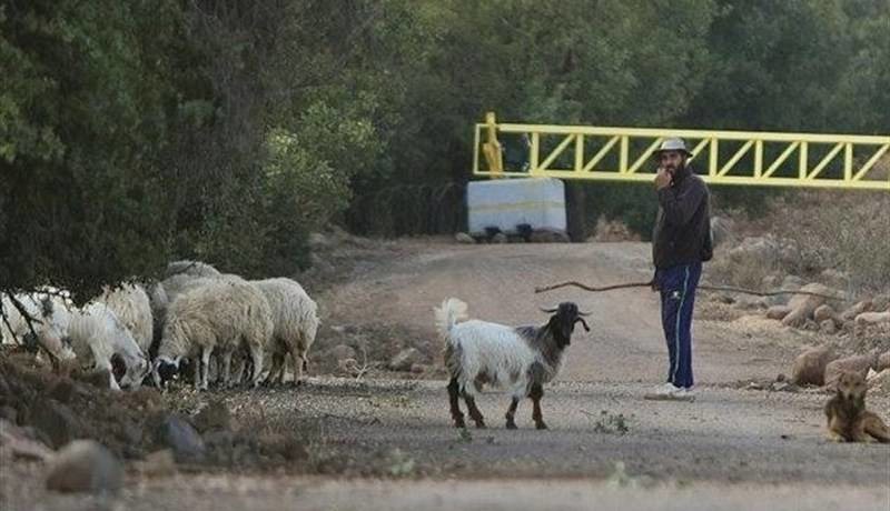 حمله صهیونیست‌ها به کشاورزان سوری و نابودی معیشت ساکنان قنیطره