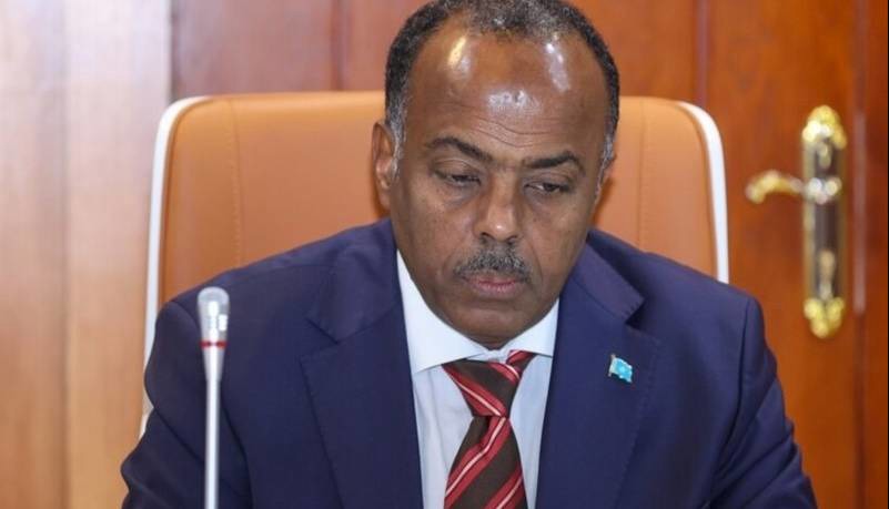 سومالی به آمریکا پیشنهاد دسترسی به بنادر و فرودگاه‌ها را داد