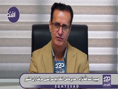 مدیرعامل اتحادیه مرغداران: تنها علت گرانی شدید مرغ، حذف ارز ترجیحی بود