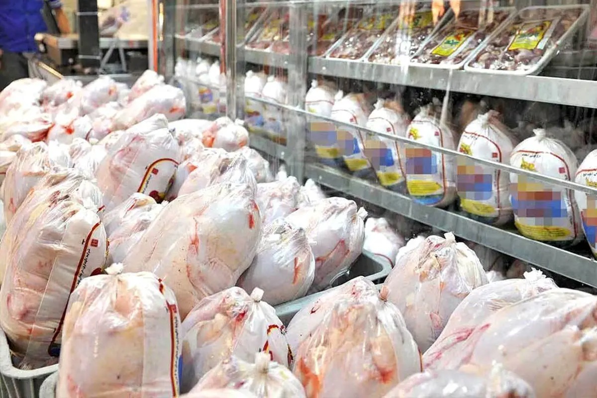گرمای هوا قیمت مرغ را کاهش داد