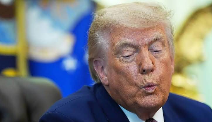 ترامپ: عاشق تورم هستم