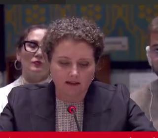 نماینده روسیه در شورای امنیت: پرواز هواپیمای ایرانی به یمن،‌ یک پرواز بشردوستانه بوده است