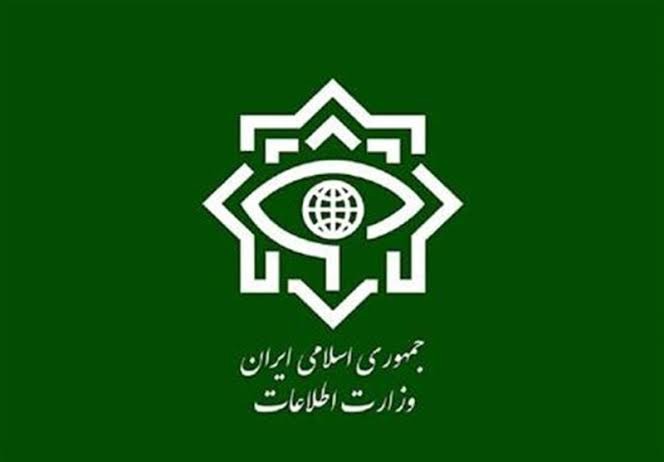 وزارت اطلاعات: خبرنگاران نقش بارزی در ناکامی سربازان رسانه‌ای دشمن داشتند