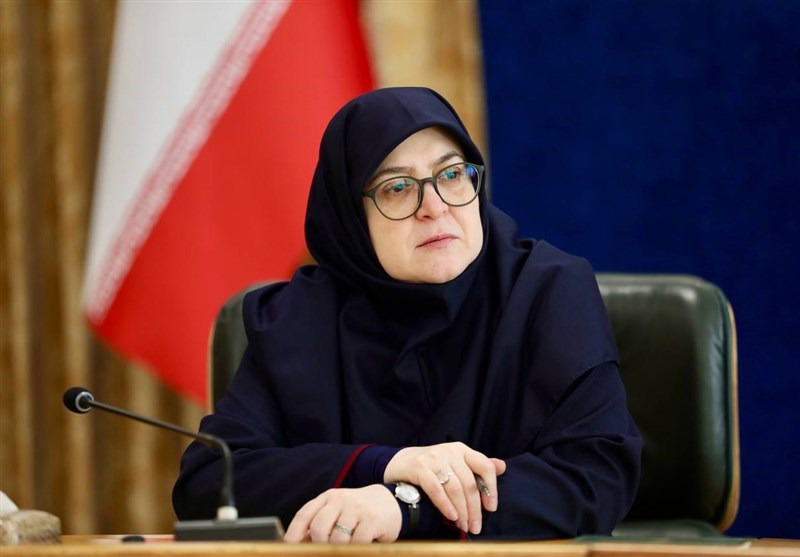 اظهارات سخنگوی دولت در خصوص پیش بینی برای تامین گاز در فصل سرما