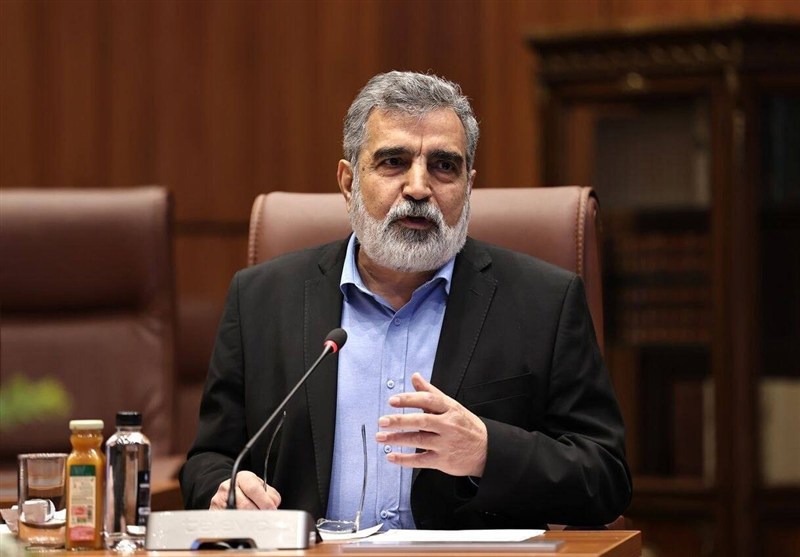 کمالوندی: اگر تحت تهاجم قرار گرفته باشید، تمام کارت‌ها را برای دفاع از خود در اختیار دارید