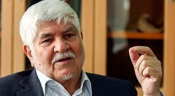 محمد هاشمی: برخی برای مطرح کردن خودشان با دولت مخالفت می‌کنند