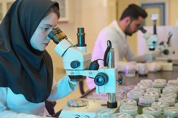 انتشار جزئیاتی از برنامه بازگشت نخبگان به کشور