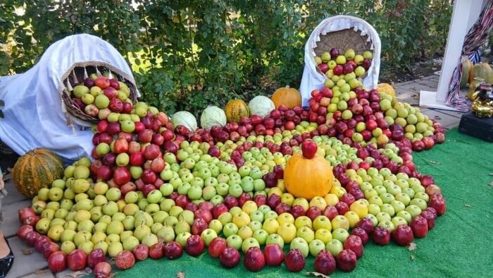 پیام ویژه