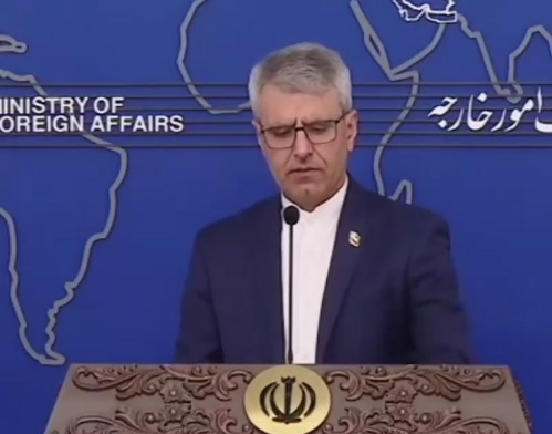 آخرین وضعیت بازگشایی مرزهای پاکستان و عراق از زبان سخنگوی وزارت امور خارجه